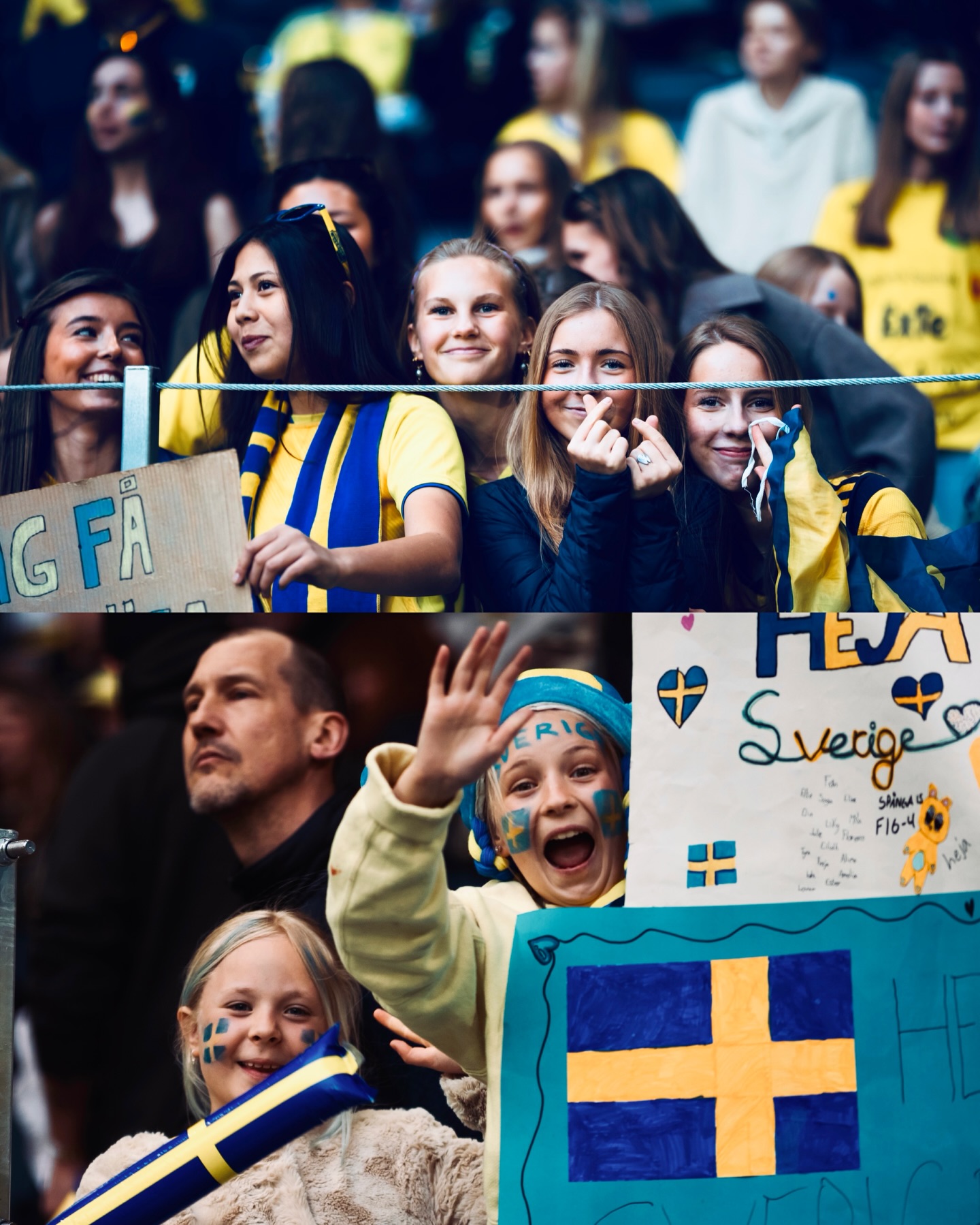 Blackstenius winner earns Sweden vital qualifying points — photograph 8.