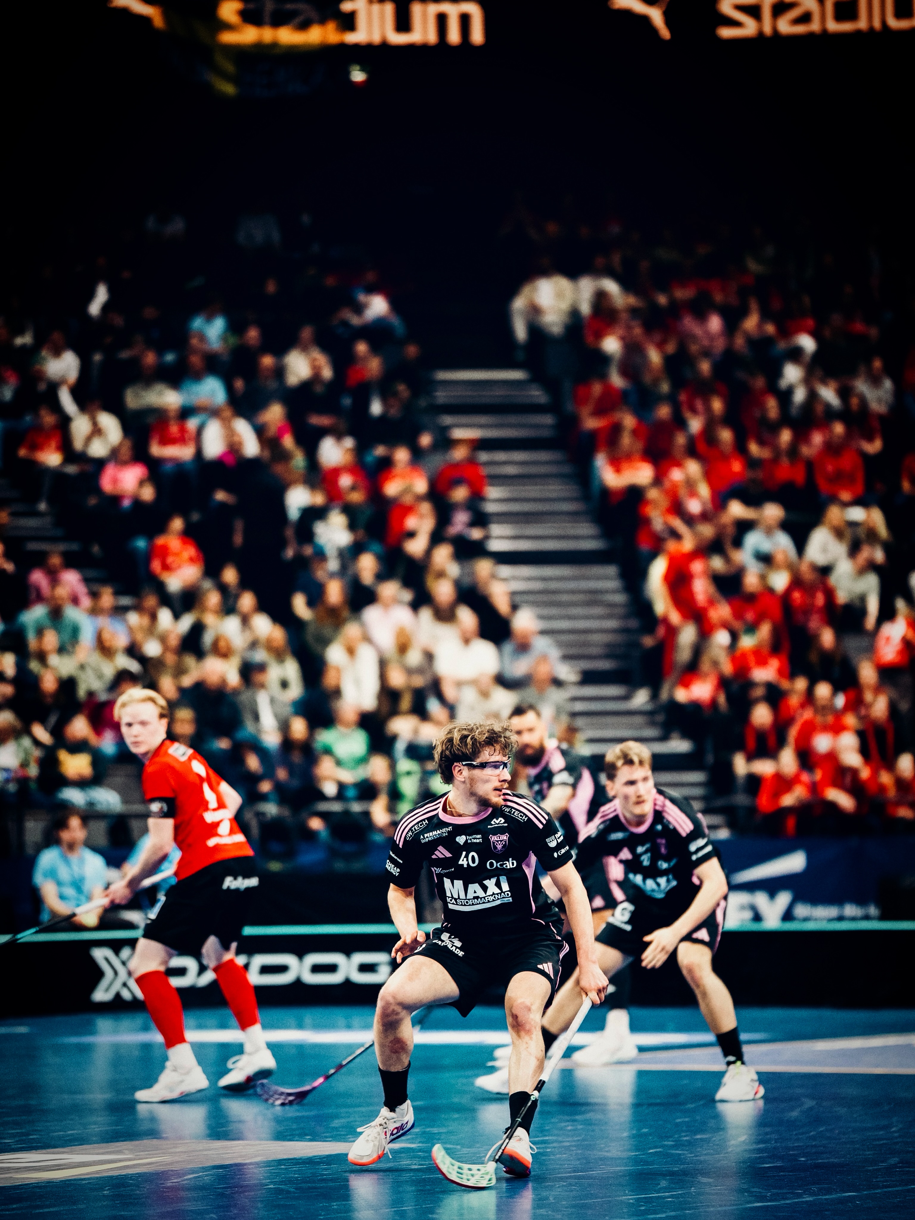 Storvreta beat Falun to claim fourth consecutive Swedish title — photograph 19.
