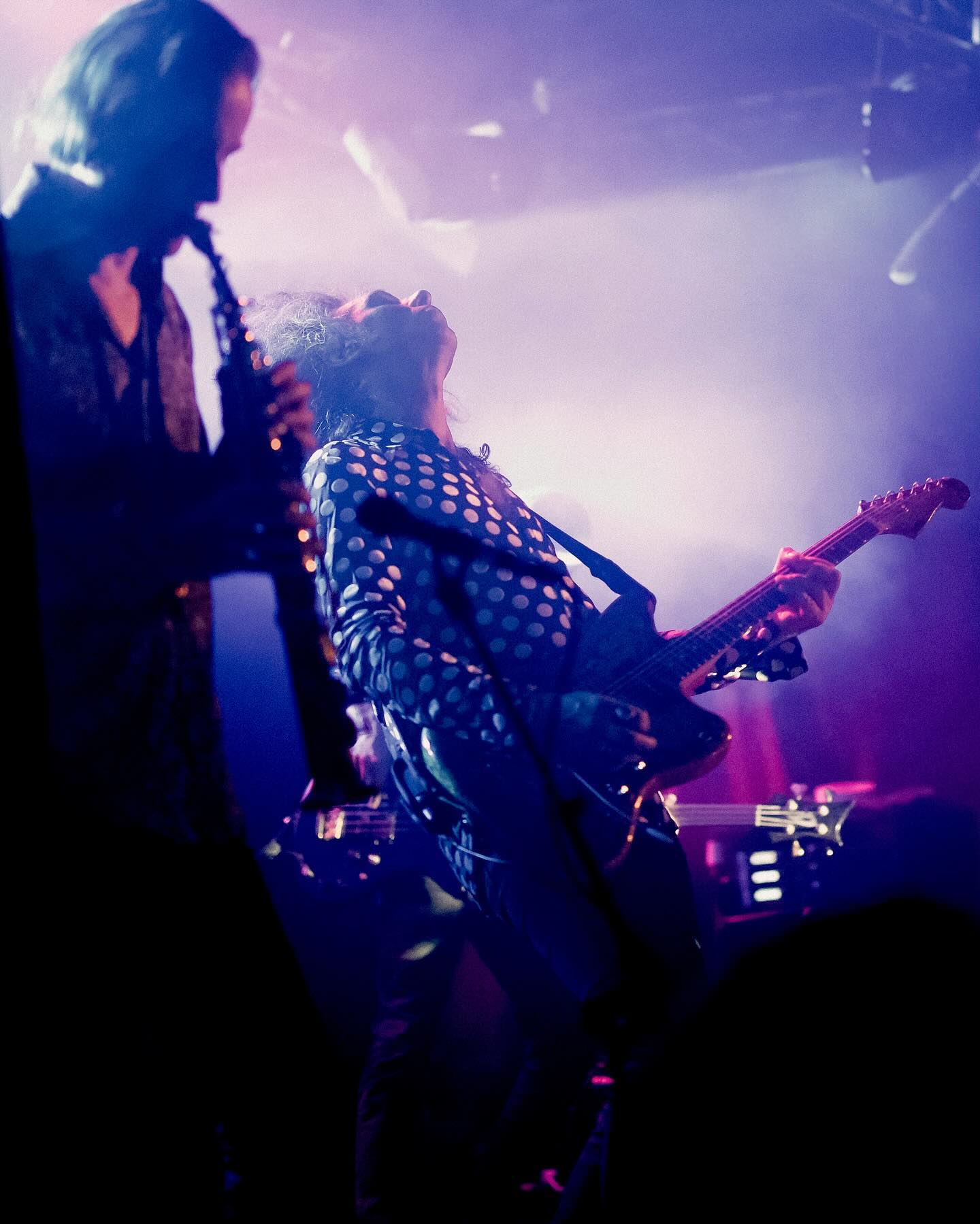 Gong live at Debaser Strand, photograph 7 of 10.