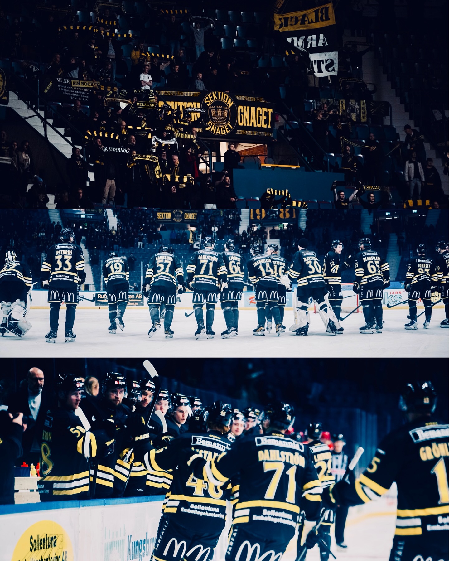 AIK’s four-goal second period earns narrow win over Almtuna — photograph 17.