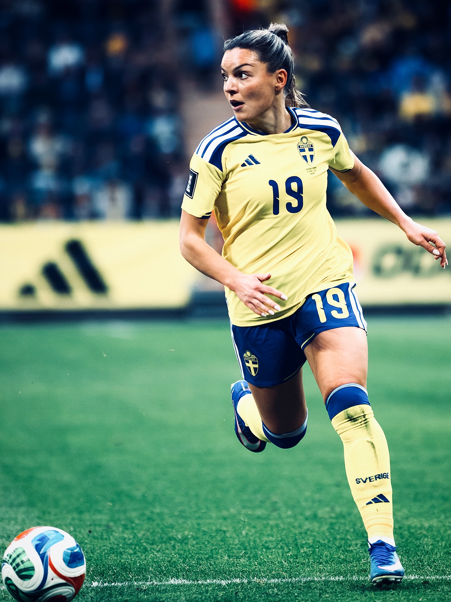Blackstenius winner earns Sweden vital qualifying points — photograph 11.