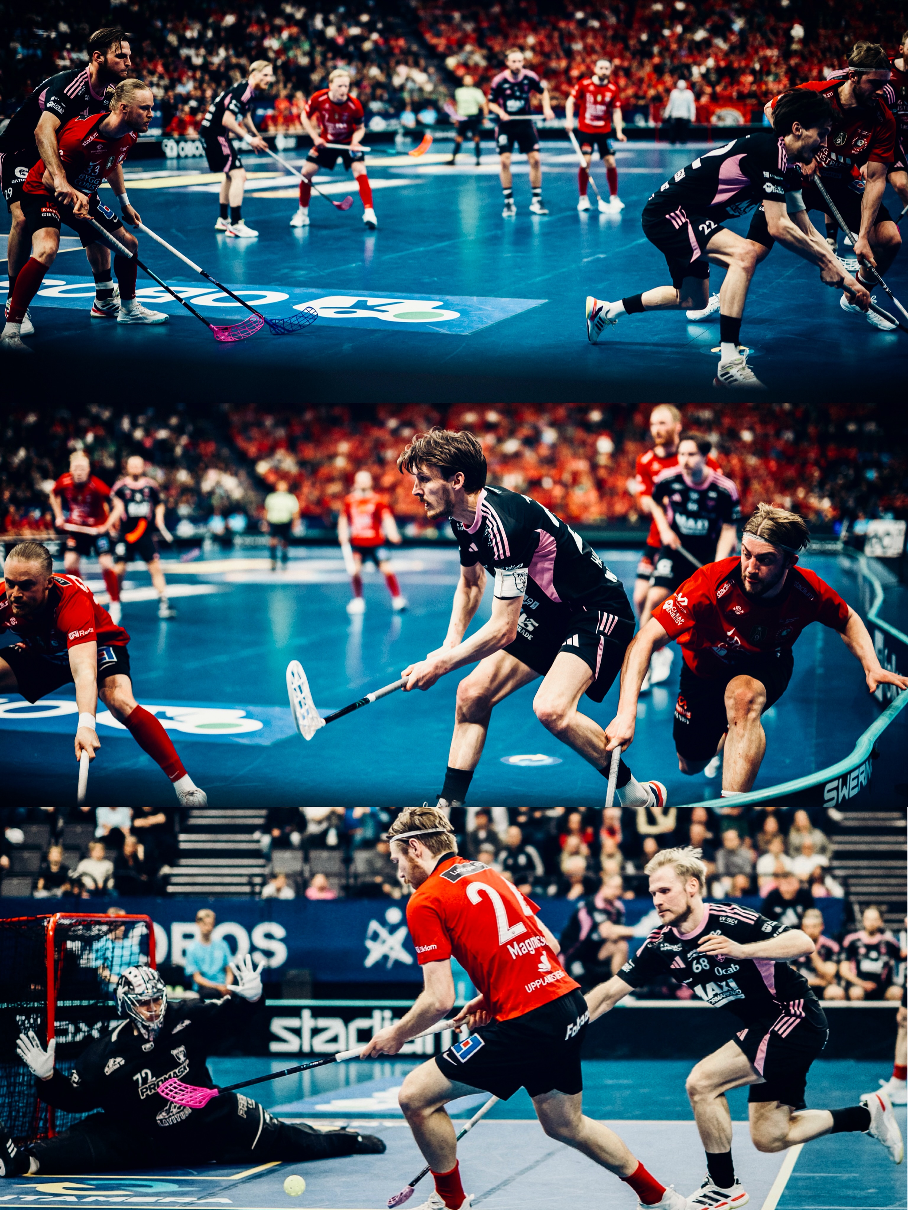 Storvreta beat Falun to claim fourth consecutive Swedish title — photograph 18.