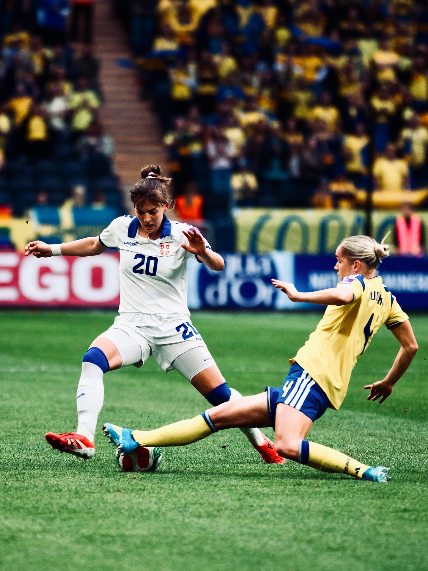 Blackstenius winner earns Sweden vital qualifying points — photograph 3.