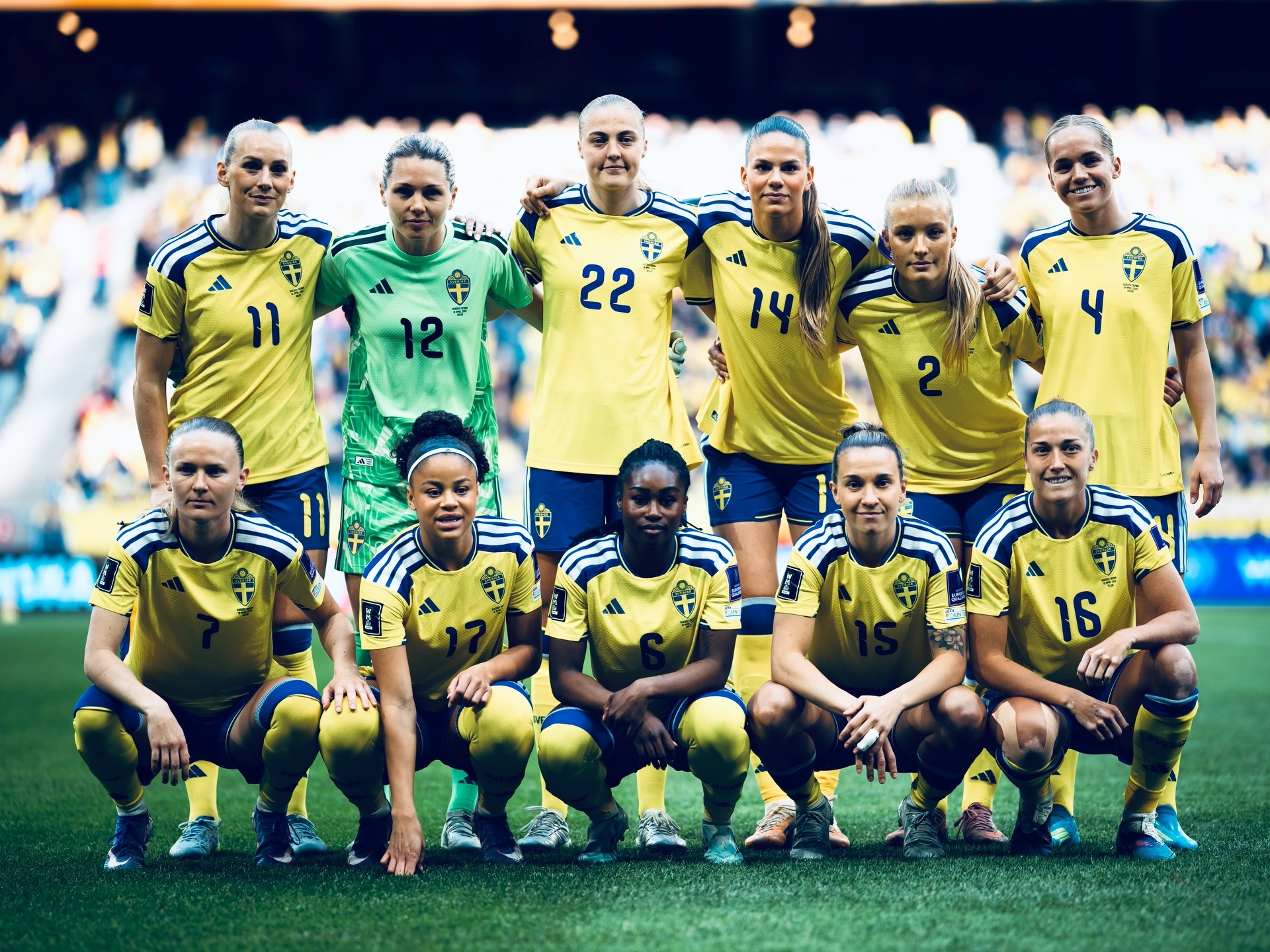 Blackstenius winner earns Sweden vital qualifying points — photograph 20.