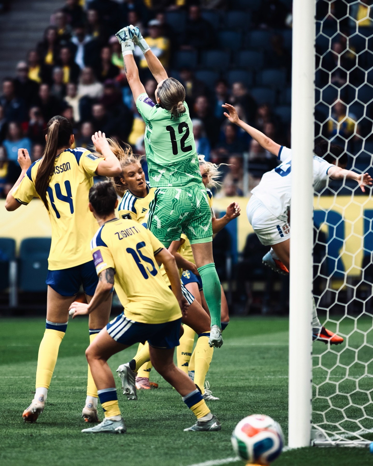 Blackstenius winner earns Sweden vital qualifying points — photograph 5.
