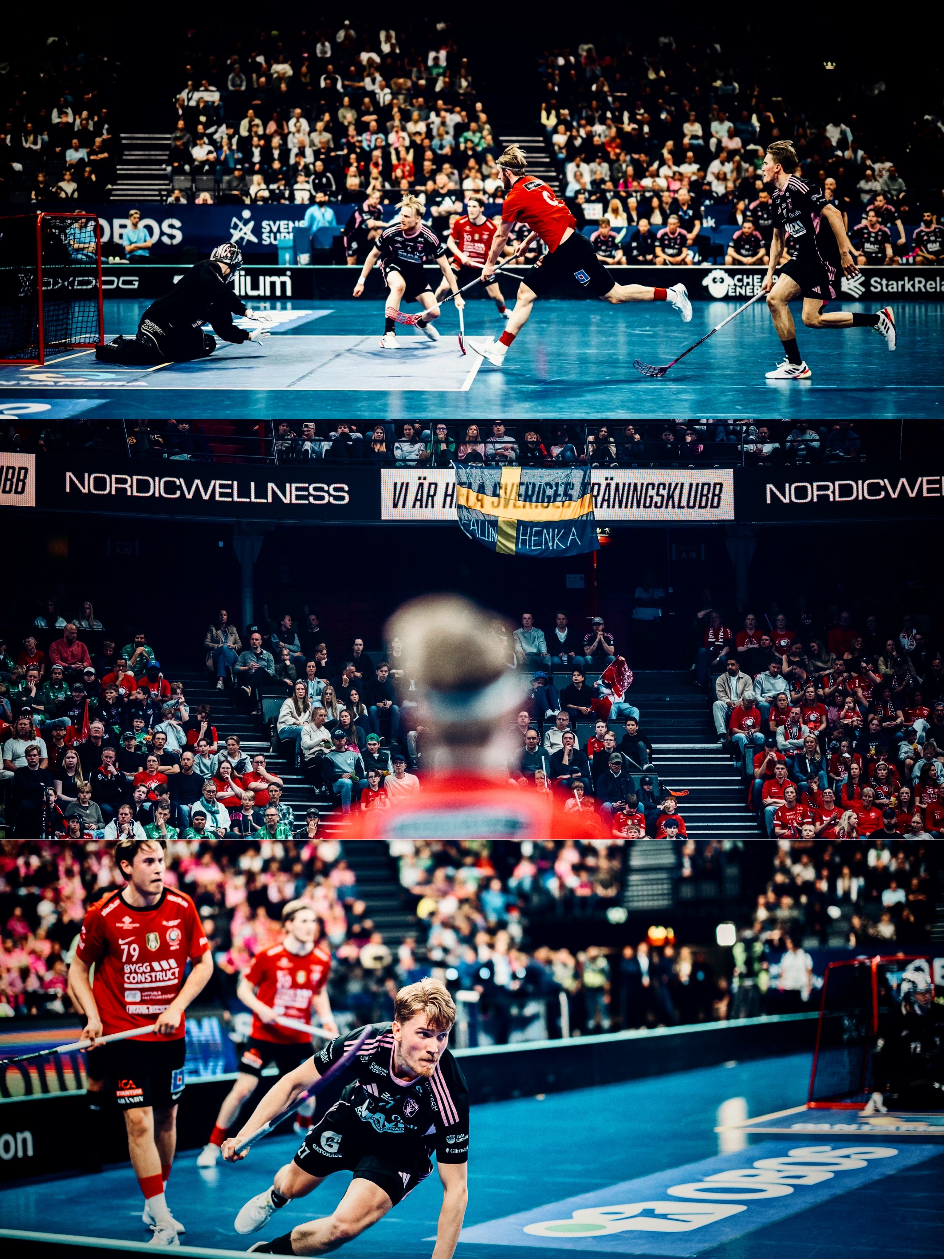 Storvreta beat Falun to claim fourth consecutive Swedish title — photograph 17.