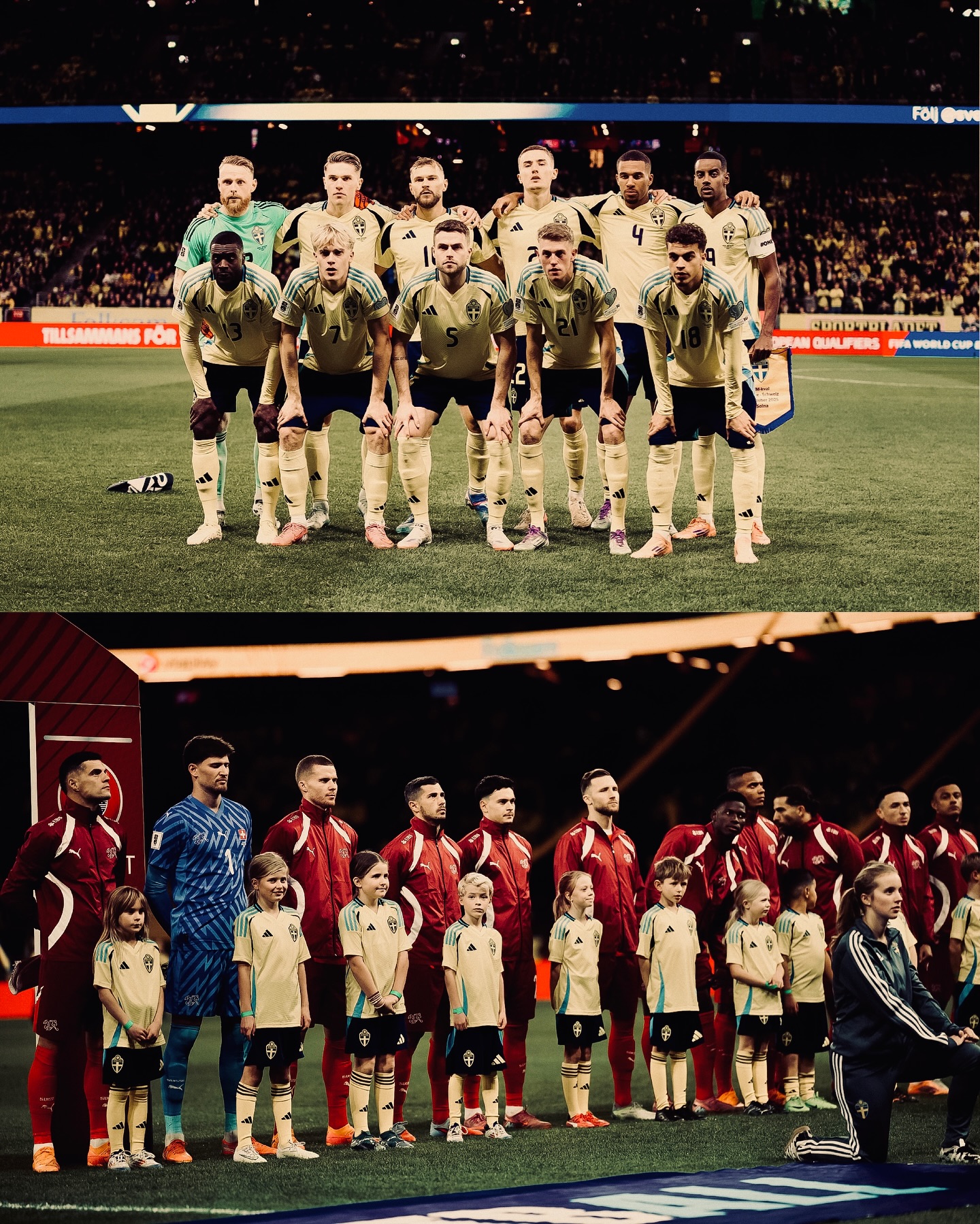 Switzerland defeat Sweden 2–0 in Solna World Cup qualifier — photograph 20.